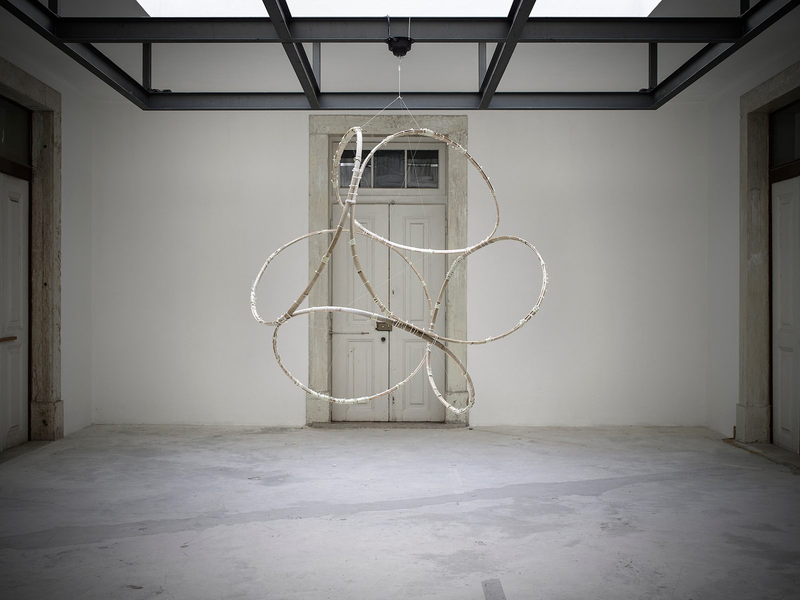 Exhibitions : Model for the Impossible Black Tulip