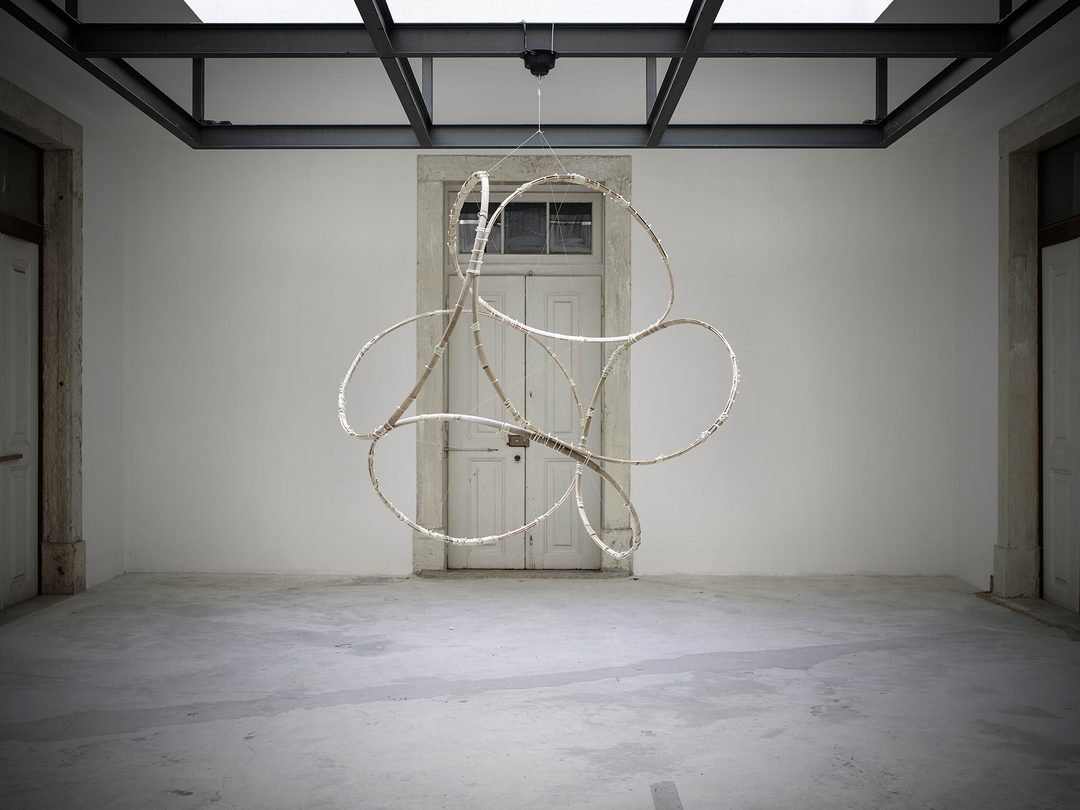 Exhibitions : Model for the Impossible Black Tulip